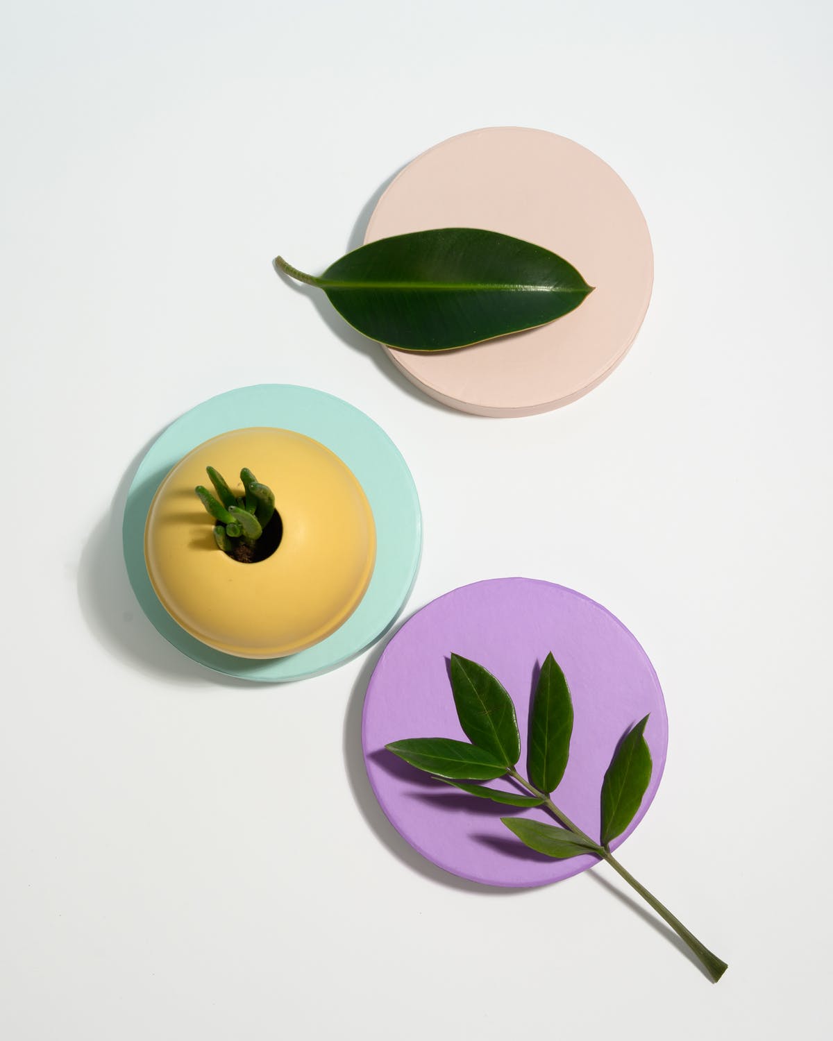 از لحظه حال لذت ببرید